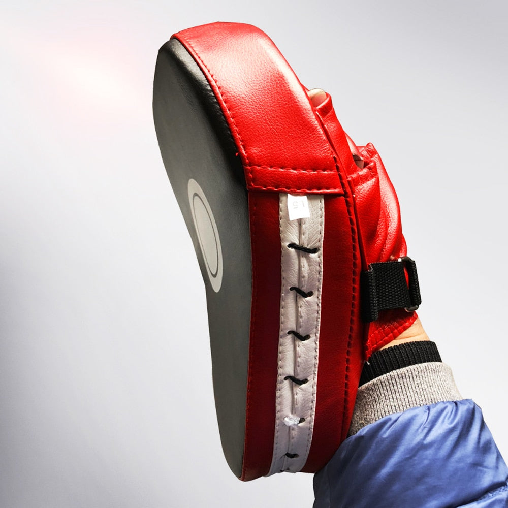 Boxing/Low Kick Pads